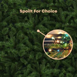 Dolce & Gabbana Sales Shop -Dolce & Gabbana Sales Shop v227 3310642011101 1664874293 01