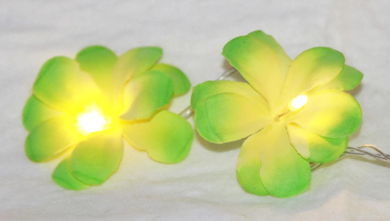 1 Set Of 20 LED Green Frangipani Flower Battery String Lights Christmas Gift Home Wedding Party Decoration Outdoor Table Garland Wreath 3 1 Set Of 20 LED Green Frangipani Flower Battery String Lights Christmas Gift Home Wedding Party Decoration Outdoor Table Garland Wreath