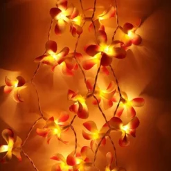 1 Set Of 20 LED Orange Frangipani Flower Battery String Lights Christmas Gift Home Wedding Party Decoration Outdoor Table Garland Wreath -Dolce & Gabbana Sales Shop v382 orfrangibatt20 68329 02
