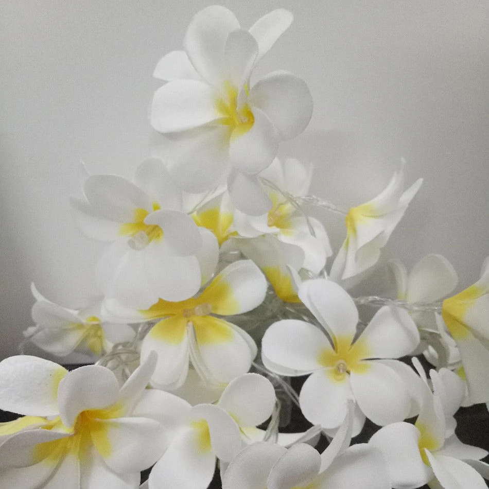 1 Set Of 20 LED White Frangipani Flower Battery String Lights Christmas Gift Home Wedding Beach Party Decoration Outdoor Table Centrepiece 3 1 Set Of 20 LED White Frangipani Flower Battery String Lights Christmas Gift Home Wedding Beach Party Decoration Outdoor Table Centrepiece