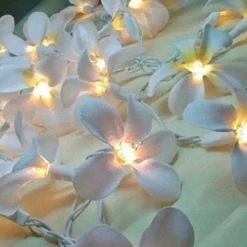 1 Set Of 20 LED White Frangipani Flower Battery String Lights Christmas Gift Home Wedding Beach Party Decoration Outdoor Table Centrepiece 6 1 Set Of 20 LED White Frangipani Flower Battery String Lights Christmas Gift Home Wedding Beach Party Decoration Outdoor Table Centrepiece -Dolce & Gabbana Sales Shop v382 whfrangibatt20 68331 01