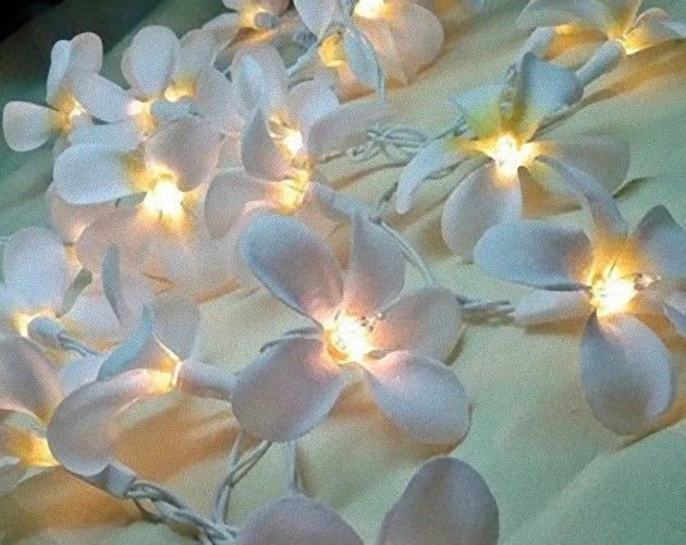 1 Set Of 20 LED White Frangipani Flower Battery String Lights Christmas Gift Home Wedding Beach Party Decoration Outdoor Table Centrepiece 4 1 Set Of 20 LED White Frangipani Flower Battery String Lights Christmas Gift Home Wedding Beach Party Decoration Outdoor Table Centrepiece - Image 2