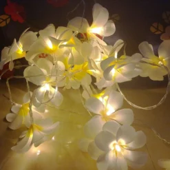 1 Set Of 20 LED White Frangipani Flower Battery String Lights Christmas Gift Home Wedding Beach Party Decoration Outdoor Table Centrepiece 7 1 Set Of 20 LED White Frangipani Flower Battery String Lights Christmas Gift Home Wedding Beach Party Decoration Outdoor Table Centrepiece -Dolce & Gabbana Sales Shop v382 whfrangibatt20 68331 02