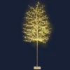 GENERIC Jingle Jollys Christmas Tree 2.1M 480 LED Trees With Lights Warm White 1 GENERIC Jingle Jollys Christmas Tree 2.1M 480 LED Trees With Lights Warm White -Dolce & Gabbana Sales Shop xm tr twig 210 ww 00